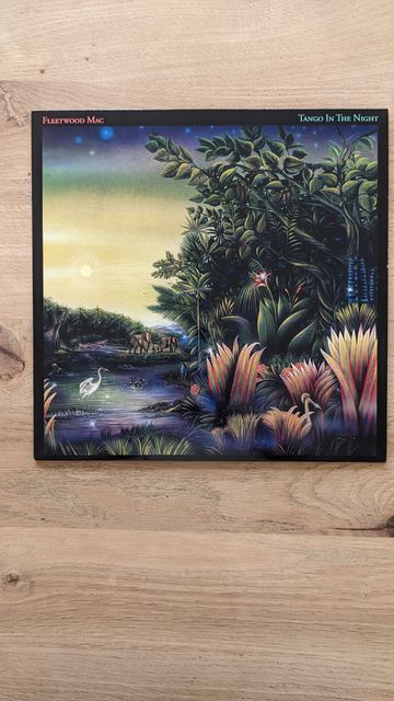 PXL 20221208 110213543