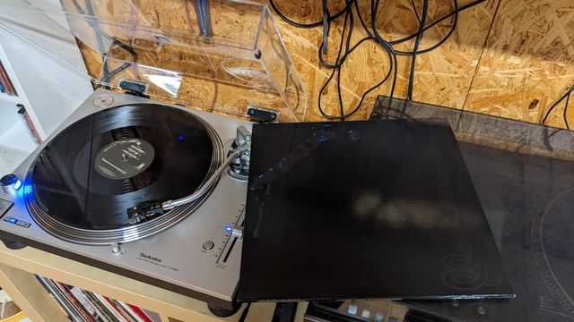 PXL 20221217 191609657