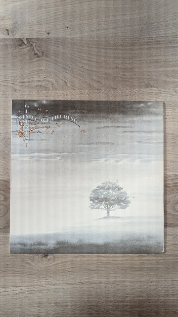 PXL 20231020 152115358