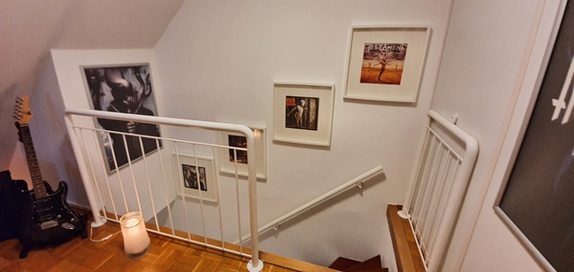 Galerie Bilder