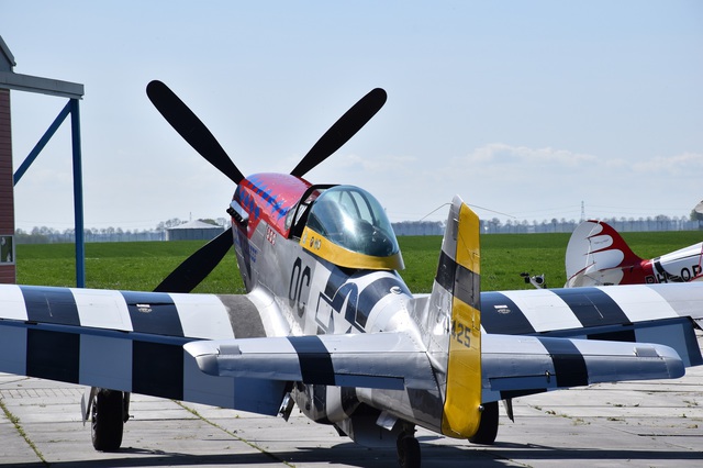 P51