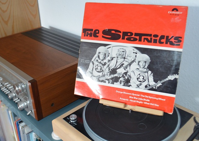 the spotnicks