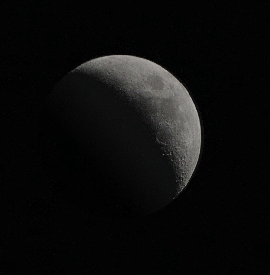 mond 0603