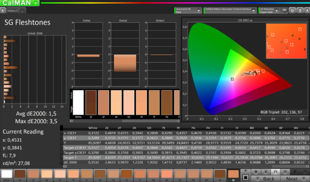 06. Skintones