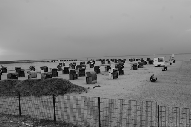 DSC05118