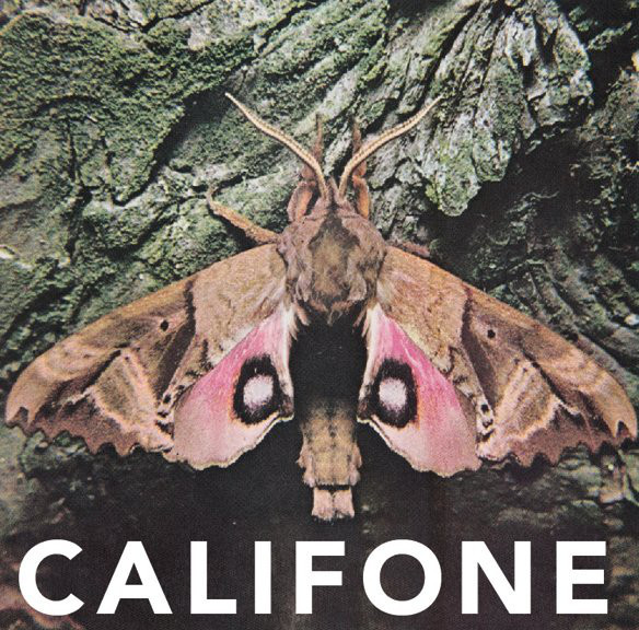 Califone ?? Insect Courage