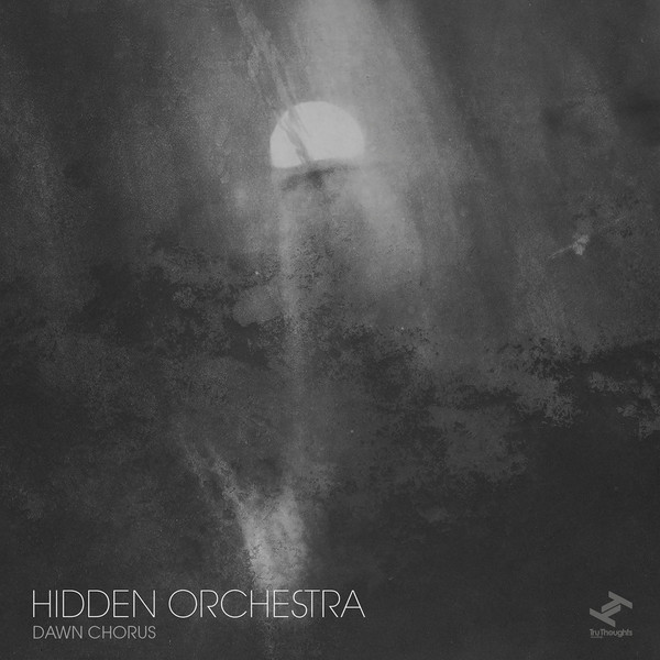 Hidden Orchestra ?– Dawn Chorus