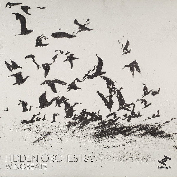 Hidden Orchestra ?– Wingbeats