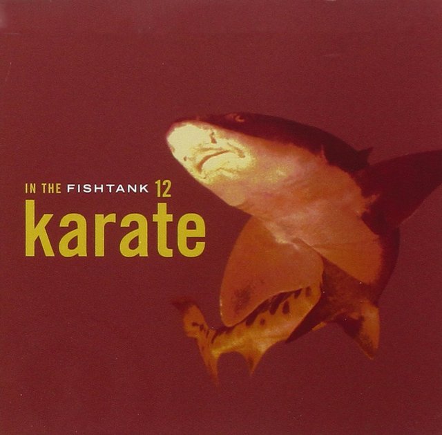 Karate ?? In The Fishtank 12
