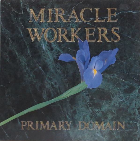 Miracle Workers ?? Primary Domain