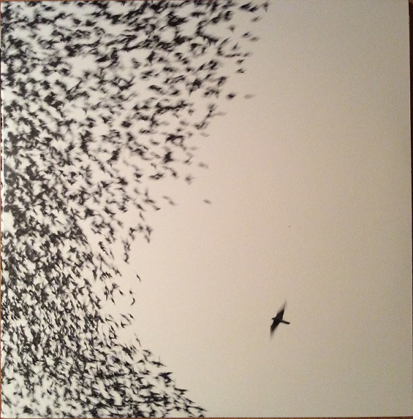 Wilco ?– Sky Blue Sky