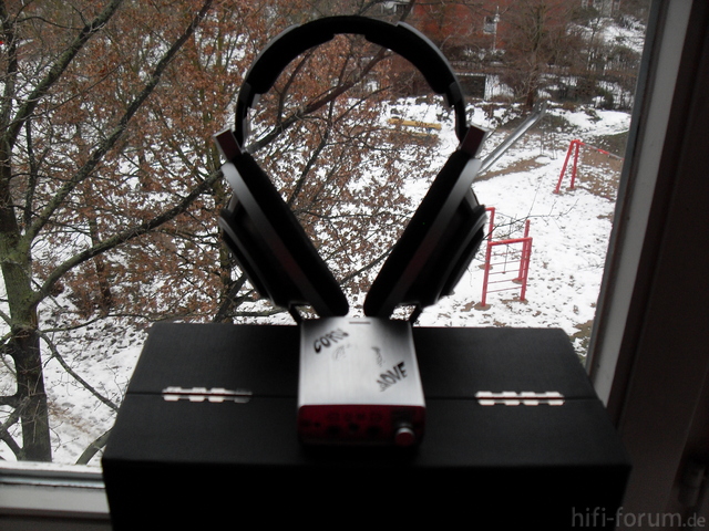 HD800(2)