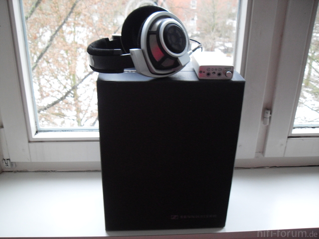 HD800(3)