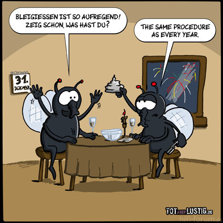 fliegen-silvester-tal72