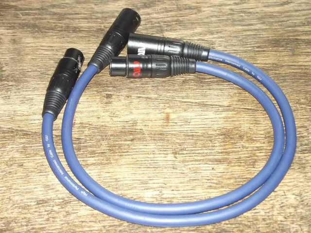 Xlr1