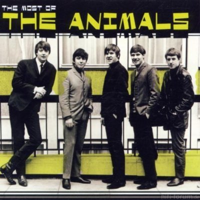 animals