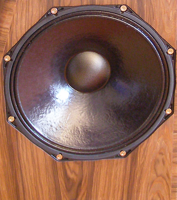 Trinity Bass