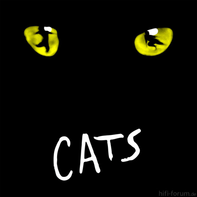 Cats Musical 1981