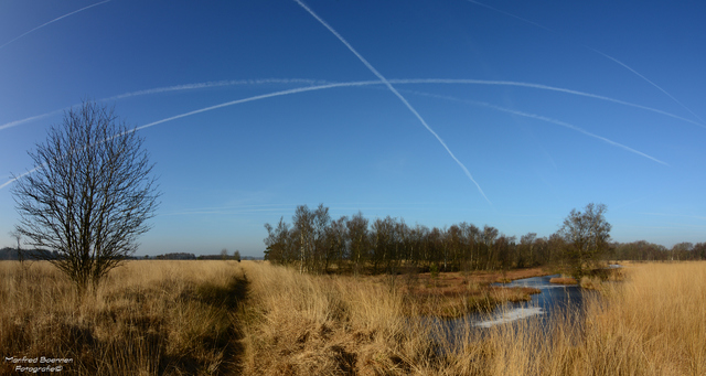 Fockbeker Moor