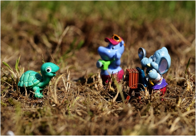 Fotoshooting in der norddeutschen Steppe