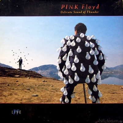 Pink Floyd - Delicate Sound Of Thunder 1988