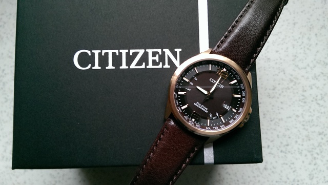 Citizen Evolution 5 - Wold Timer