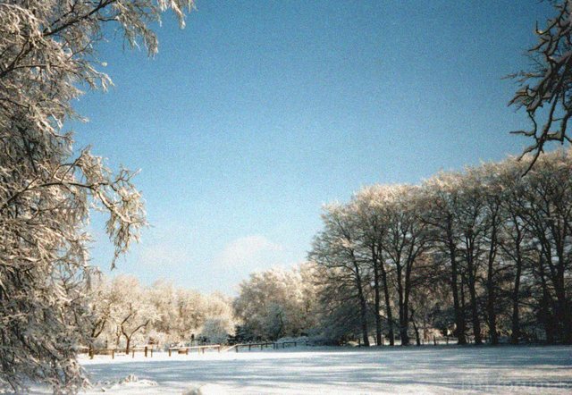 Winterlandschaft in Bremen