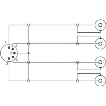 SpeaKa Professional Cinch DIN Anschluss Audio Y Adapter 1x Diodenstecker 5pol DIN 4x Cinch Buchse Sc