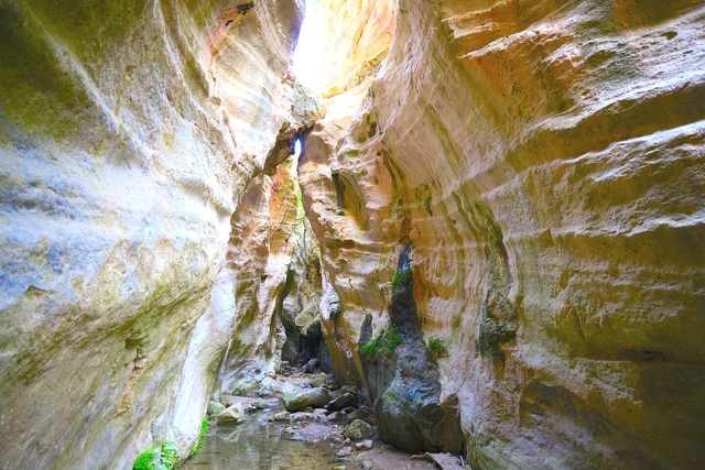 Avakas Gorge Trail