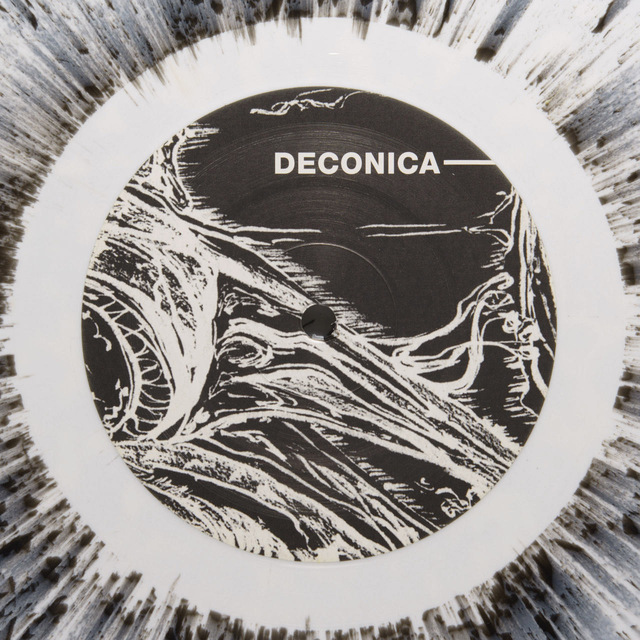 Fungal Dimension - Deconica - Phellinus