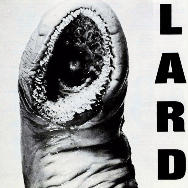 LARD Vinyls