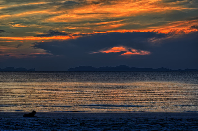 Thailand - Sundown mit Hund