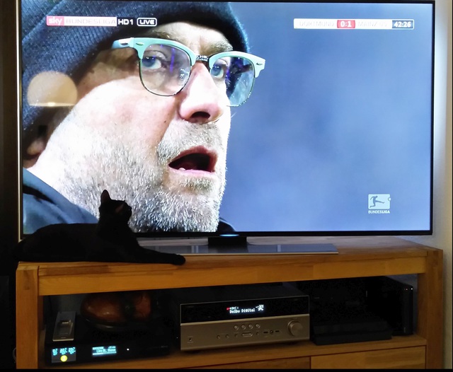 KatteKlopp