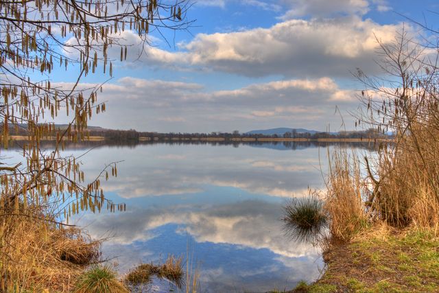 IMG 4030b 1 2 Reduced