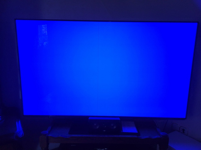 Panasonic 55FZW835 (baugleich 804) OLED Panel Fehler