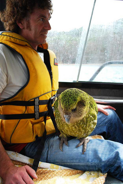 6502677469 28c076285a Z