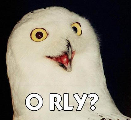 o-rly-owl