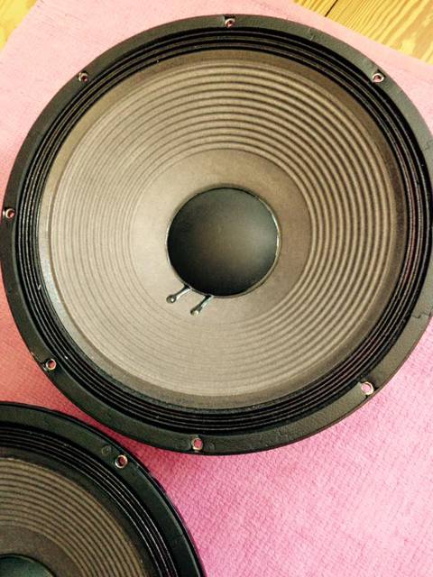 11391503 1124887290861825 4621170223160175478 N