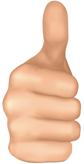 Thumbs Up Hand PNG Clip Art 1618