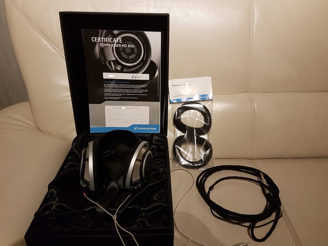 HD 800