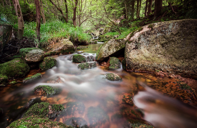 Harz