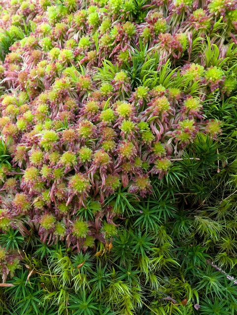 PXL 20240806 093149105