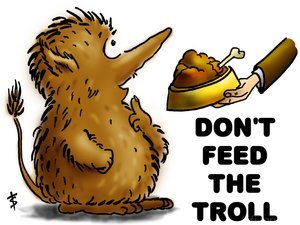 Don  T Feed The Troll
