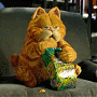 Garfield Futtert