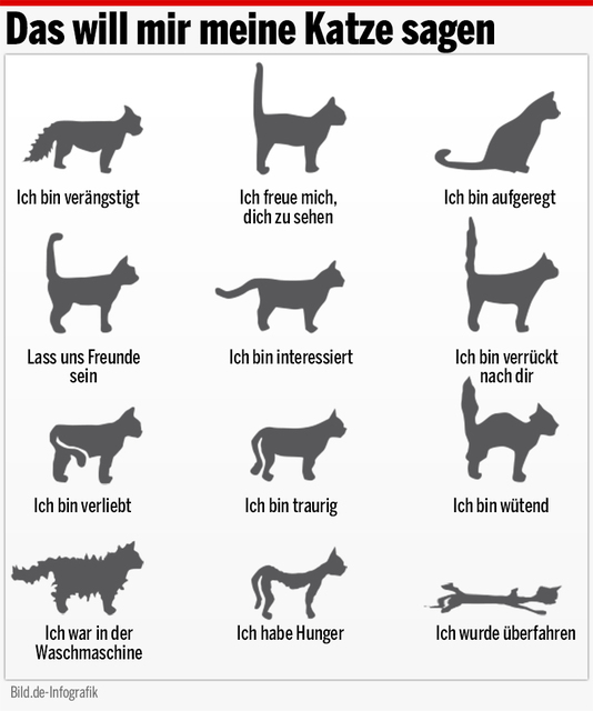 Katzensprache