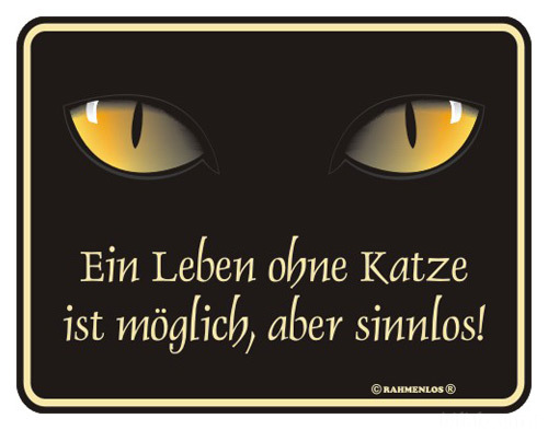 Leben Ohne Katze Ist Sinnlos