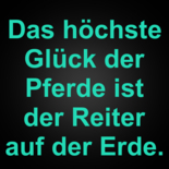 Reiter Auf Erde