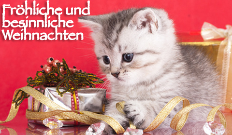 Weihnachten