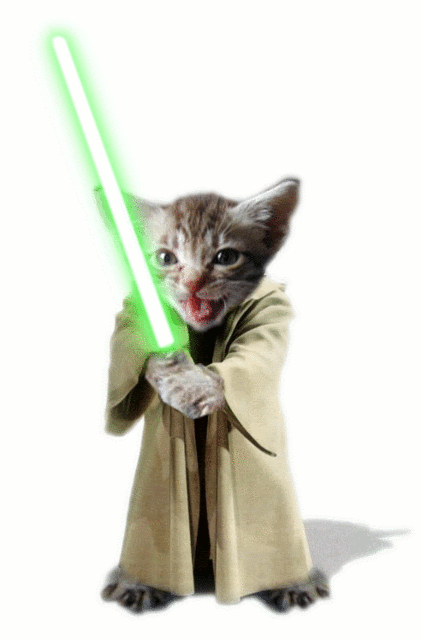 Yoda-kitty