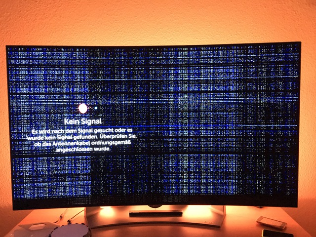 LG 55EG910V Pixelfehler